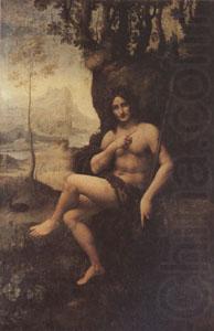 Leonardo  Da Vinci Bacchus (mk05) china oil painting image